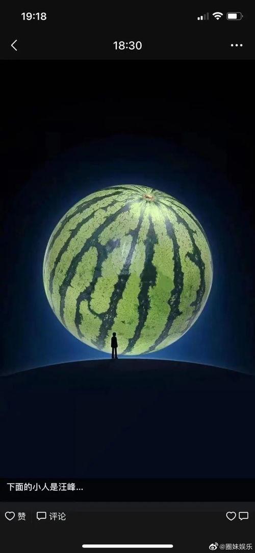 坐等吃瓜方法,揭秘网络围观背后的心理奥秘